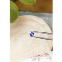 0.75 Ct. Tanzanite from Tanzania Life Style