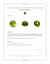 2.58 Ct. Cabochon Tourmaline from Mozambique Appraisal