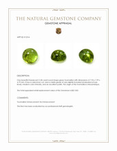 2.58 Ct. Cabochon Tourmaline from Mozambique Appraisal