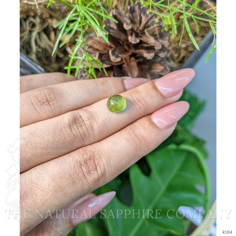 2.58 Ct. Cabochon Tourmaline from Mozambique