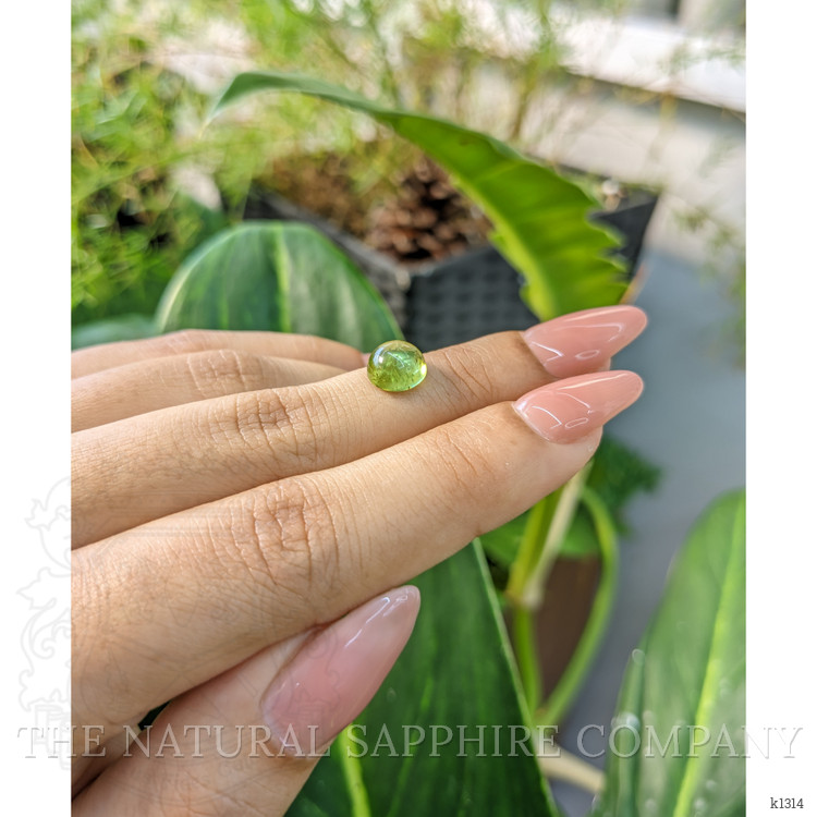 2.58 Ct. Cabochon Tourmaline from Mozambique