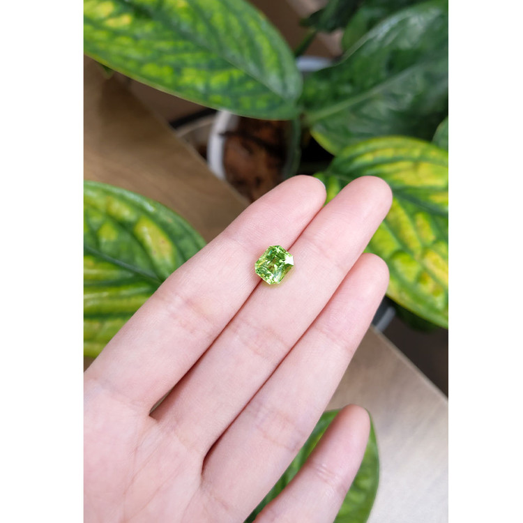 2.88 Ct. Peridot from Afghanistan