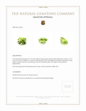 3.18 Ct. Peridot from Afghanistan Appraisal