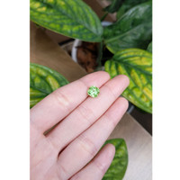 2.52 Ct. Peridot from Afghanistan Life Style