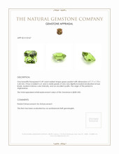 2.49 Ct. Peridot from Afghanistan Appraisal