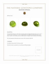 1.48 Ct. Cabochon Tourmaline from Mozambique Appraisal