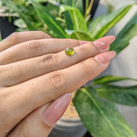 1.48 Ct. Cabochon Tourmaline from Mozambique Life Style