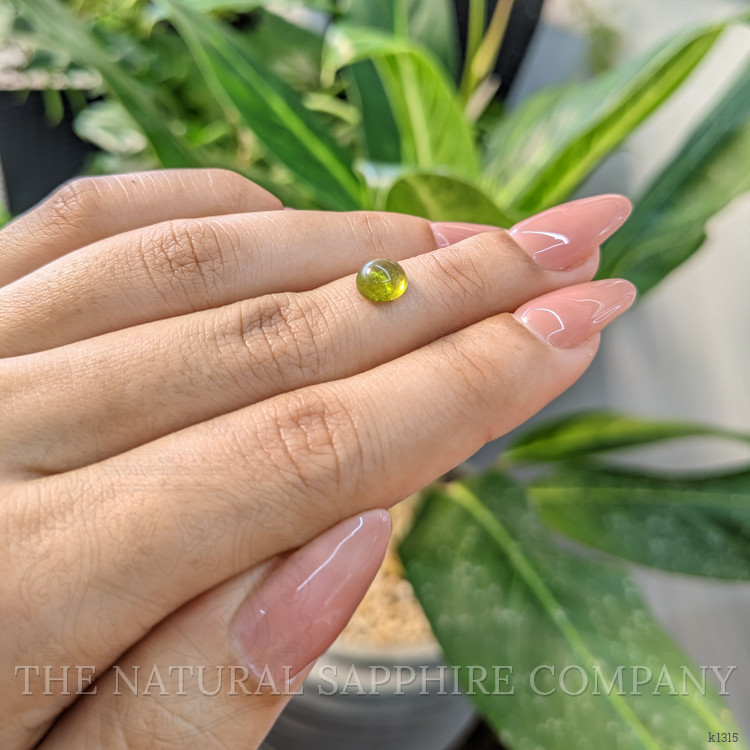 1.48 Ct. Cabochon Tourmaline from Mozambique