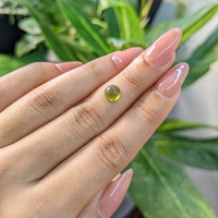 1.48 Ct. Cabochon Tourmaline from Mozambique Life Style