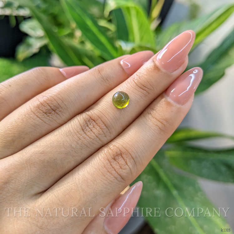 1.48 Ct. Cabochon Tourmaline from Mozambique