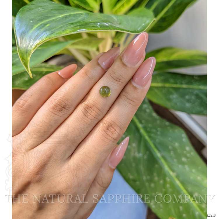 1.48 Ct. Cabochon Tourmaline from Mozambique