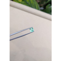 1.00 Ct. Beryl Life Style