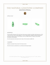 0.58 Ct. Paraiba Tourmaline from Mozambique Appraisal