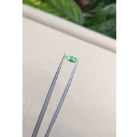 0.58 Ct. Paraiba Tourmaline from Mozambique Life Style