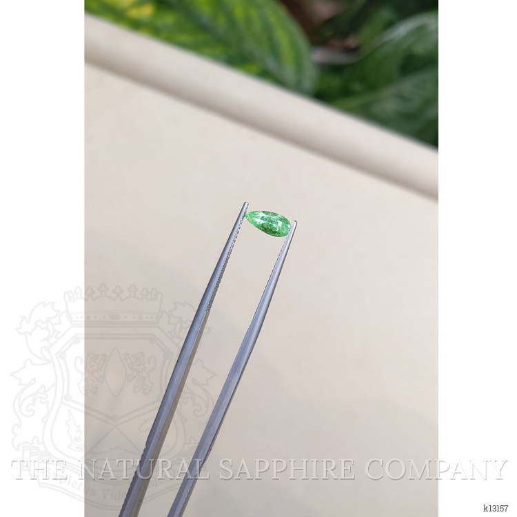 0.58 Ct. Paraiba Tourmaline from Mozambique