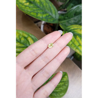 1.26 Ct. Chrysoberyl from Ceylon (Sri Lanka) Life Style