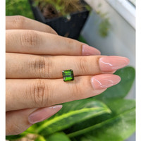 2.43 Ct. Tourmaline from Mozambique Life Style