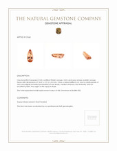 4.42 Ct. Topaz from Brazil Appraisal