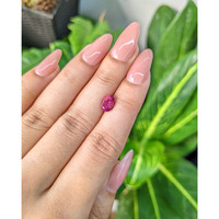 1.37 Ct. Tourmaline from Mozambique Life Style