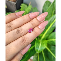 1.37 Ct. Tourmaline from Mozambique Life Style