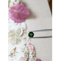 1.17 Ct. Tourmaline from Mozambique Life Style
