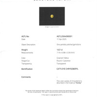 1.67 Ct. Chrysoberyl from Ceylon (Sri Lanka) Scan Report