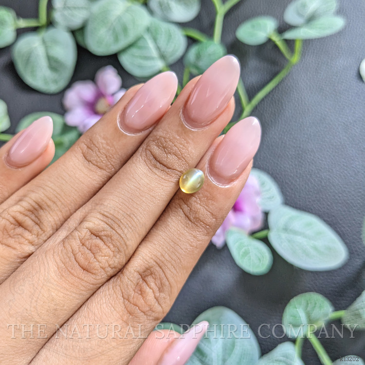 1.65 Ct. Cabochon Chrysoberyl from Ceylon (Sri Lanka)