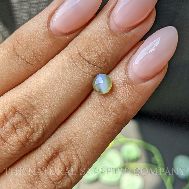 1.30 Ct. Cabochon Chrysoberyl from Ceylon (Sri Lanka)