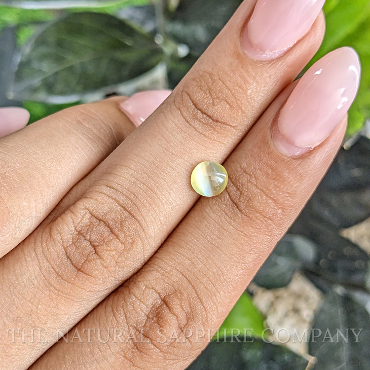 1.24 Ct. Cabochon Chrysoberyl from Ceylon (Sri Lanka)