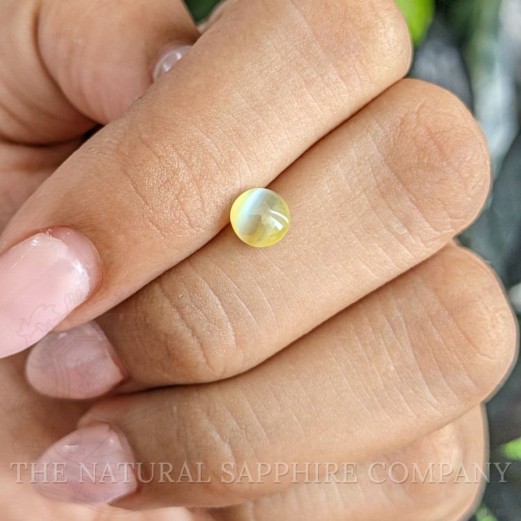 1.24 Ct. Cabochon Chrysoberyl from Ceylon (Sri Lanka)