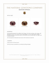 2.78 Ct. Color Change Garnet from Ceylon (Sri Lanka) Appraisal