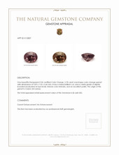 2.78 Ct. Garnet from Ceylon (Sri Lanka) Appraisal