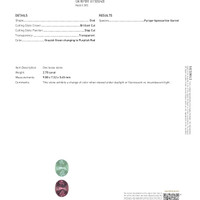 2.78 Ct. Garnet from Ceylon (Sri Lanka) Scan Report