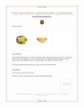 3.71 Ct. Citrine from Brazil Appraisal