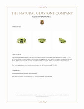 1.69 Ct. Green Tourmaline from Mozambique Appraisal