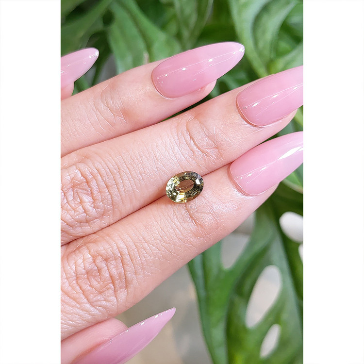 1.25 Ct. Tourmaline from Mozambique