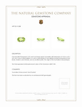 Jewelry Appraisal