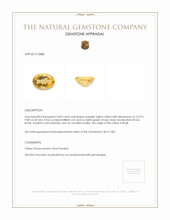 4.89 Ct. Citrine from Brazil Appraisal