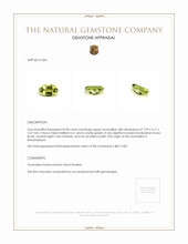 0.98 Ct. Tourmaline from Mozambique Appraisal