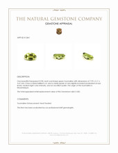 0.98 Ct. Tourmaline from Mozambique Appraisal