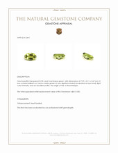 0.98 Ct. Green Tourmaline from Mozambique Appraisal