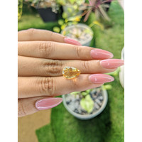 4.14 Ct. Citrine from Brazil Life Style