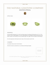 2.10 Ct. Tourmaline from Mozambique Appraisal