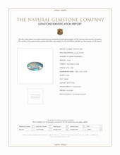 Jewelry Scan Report