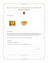 3.28 Ct. Citrine from Brazil Appraisal