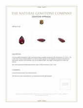 2.88 Ct. Garnet from Ceylon (Sri Lanka) Appraisal