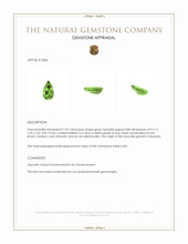 1.07 Ct. Tsavorite Garnet from Tanzania Appraisal