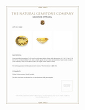 3.33 Ct. Citrine from Brazil Appraisal