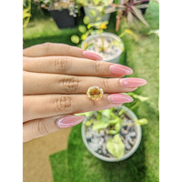 4.04 Ct. Citrine from Brazil Life Style