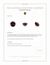2.20 Ct. Garnet from Ceylon (Sri Lanka) Appraisal